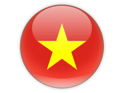 Viet Nam Flag